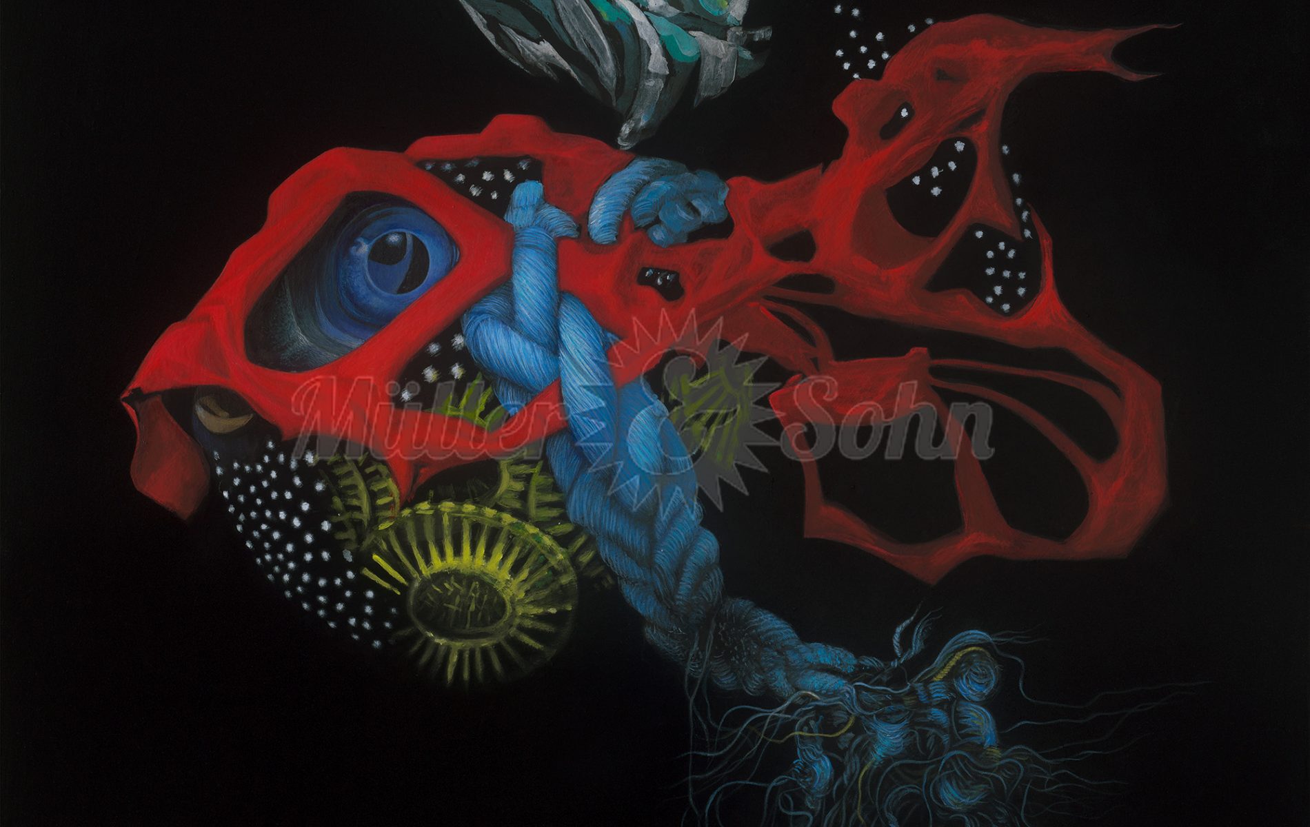 Arothron © Müller & Sohn